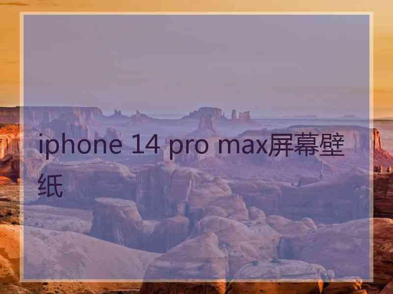 iphone 14 pro max屏幕壁纸