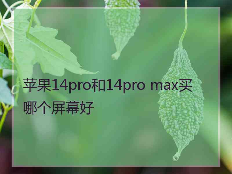 苹果14pro和14pro max买哪个屏幕好