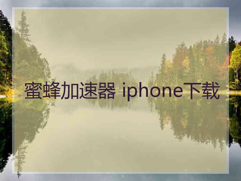 蜜蜂加速器 iphone下载