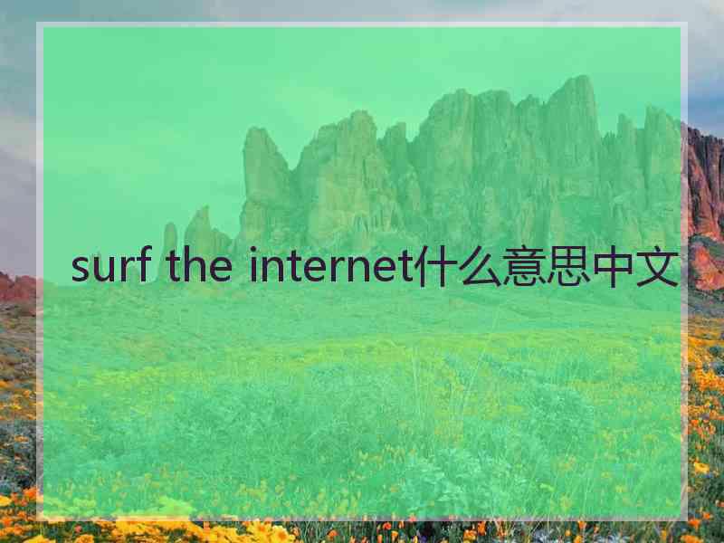 surf the internet什么意思中文