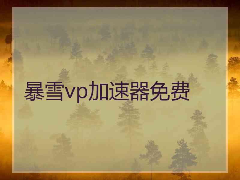 暴雪vp加速器免费