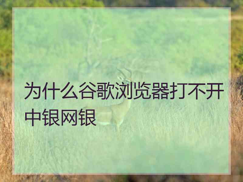 为什么谷歌浏览器打不开中银网银