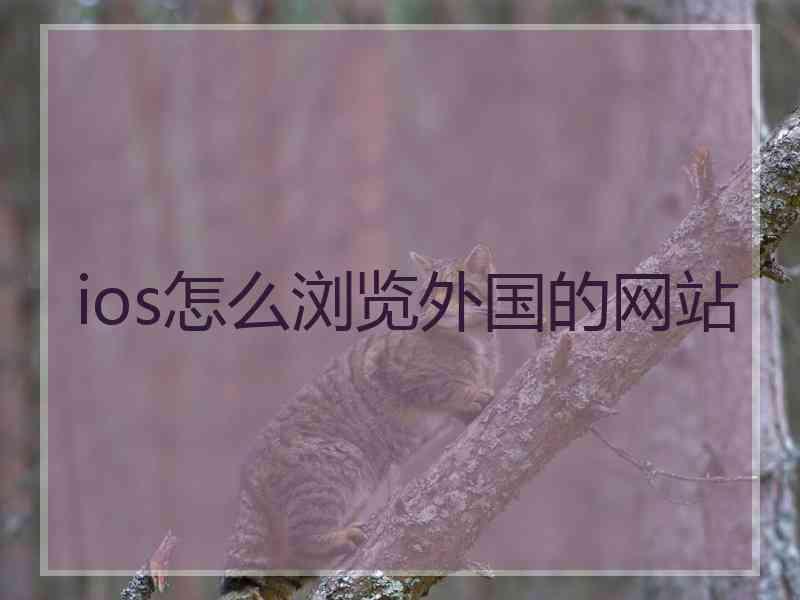 ios怎么浏览外国的网站