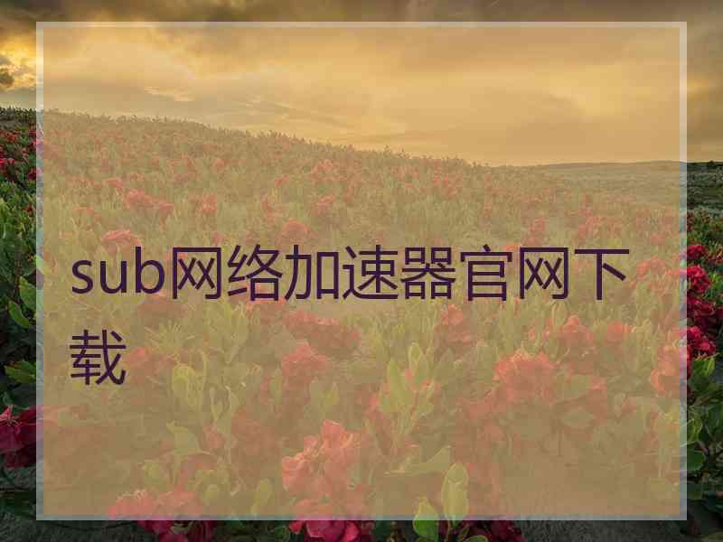 sub网络加速器官网下载