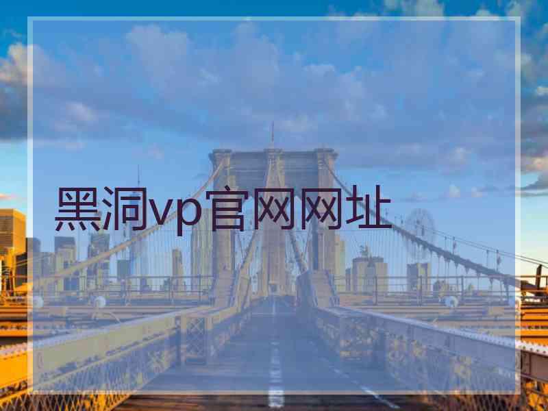 黑洞vp官网网址