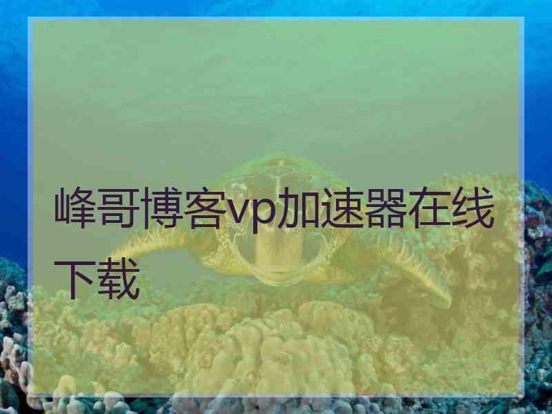 峰哥博客vp加速器在线下载