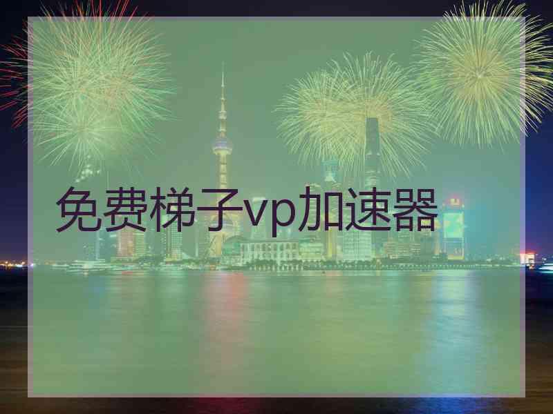 免费梯子vp加速器