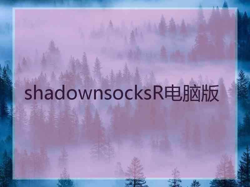 shadownsocksR电脑版