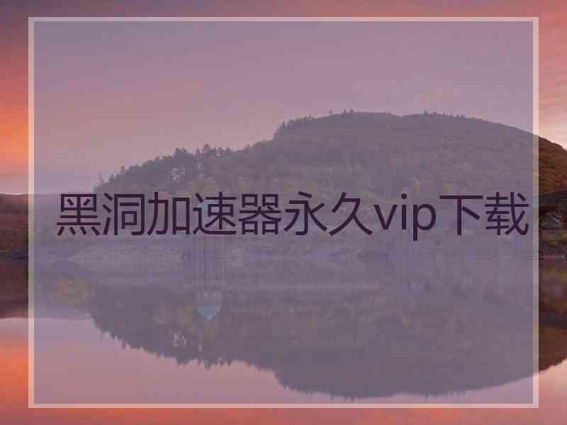 黑洞加速器永久vip下载