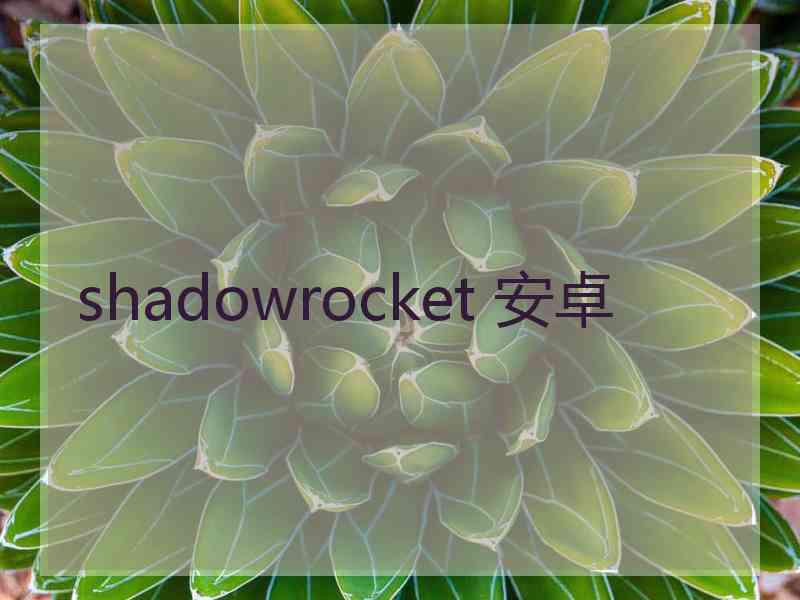 shadowrocket 安卓