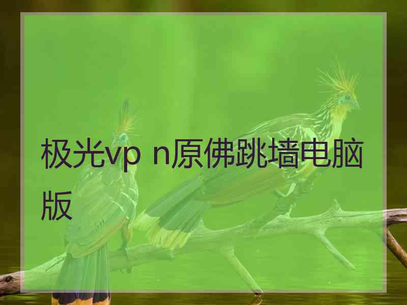 极光vp n原佛跳墙电脑版