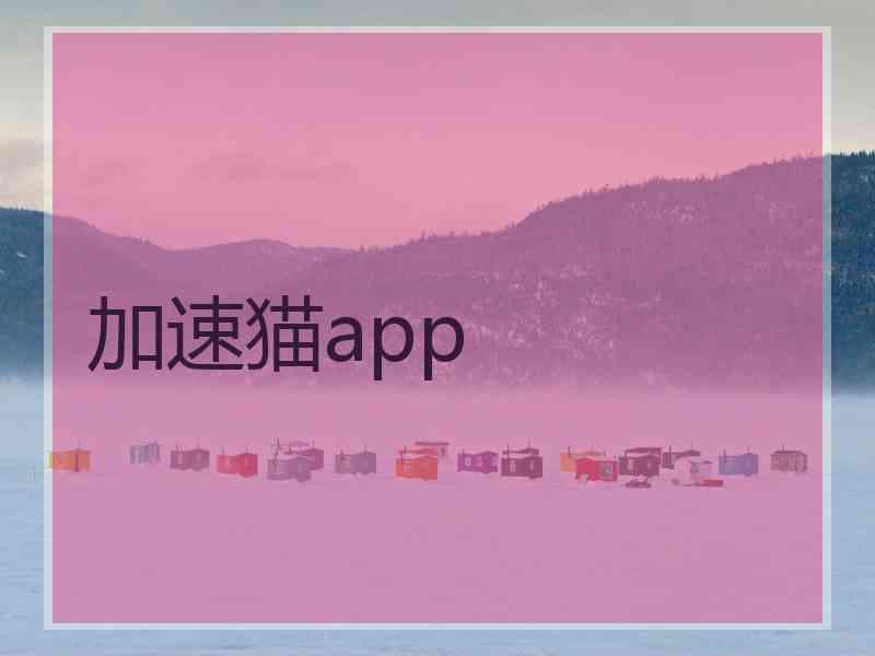 加速猫app