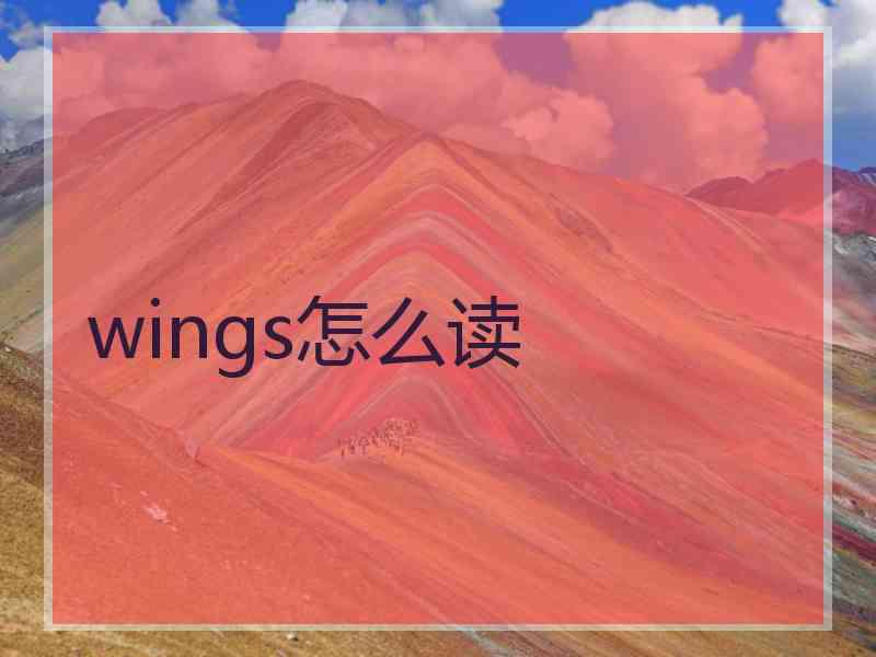 wings怎么读