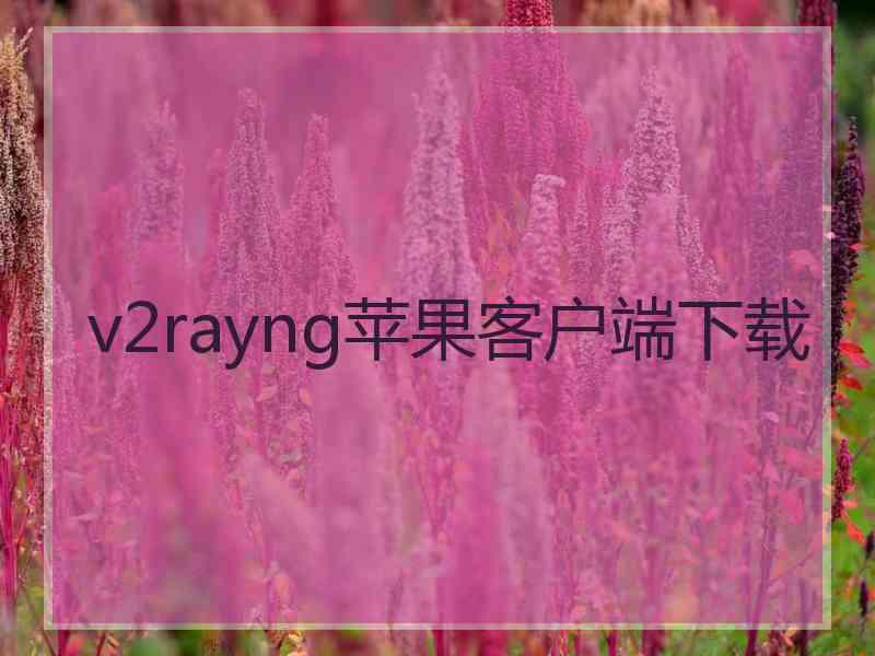 v2rayng苹果客户端下载