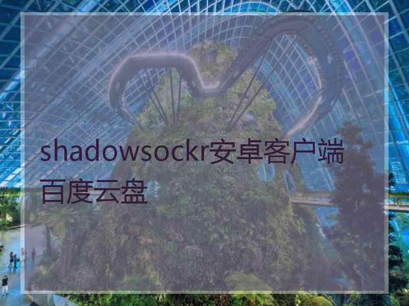 shadowsockr安卓客户端百度云盘