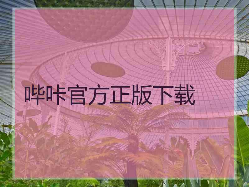 哔咔官方正版下载