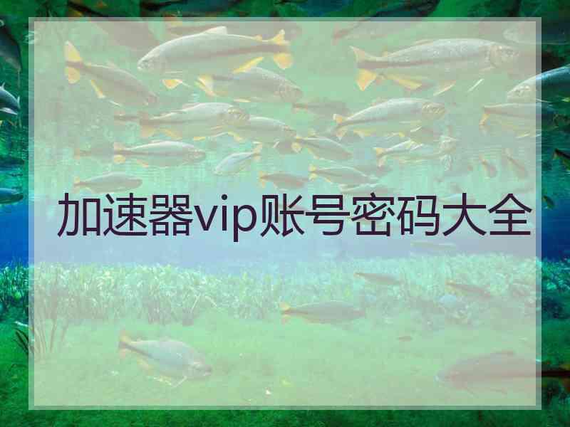 加速器vip账号密码大全