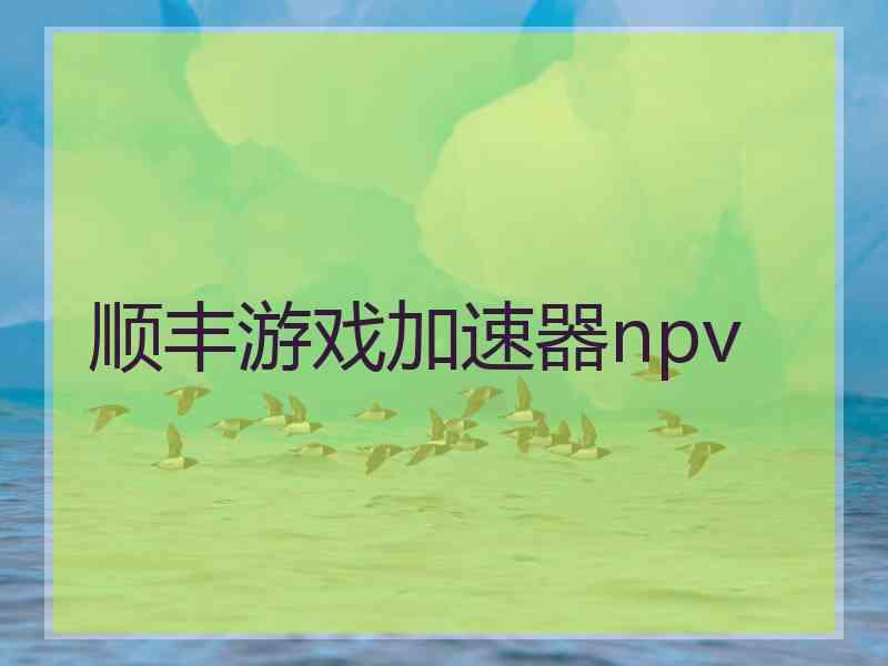 顺丰游戏加速器npv