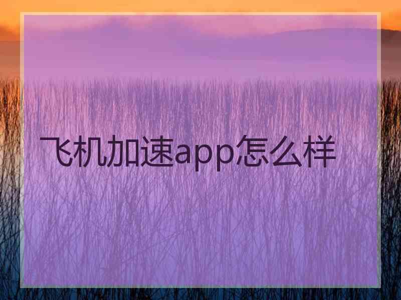 飞机加速app怎么样