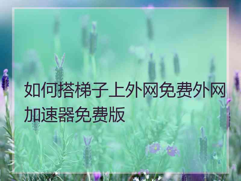 如何搭梯子上外网免费外网加速器免费版