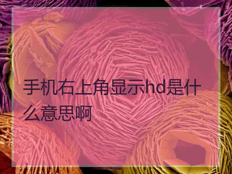 手机右上角显示hd是什么意思啊