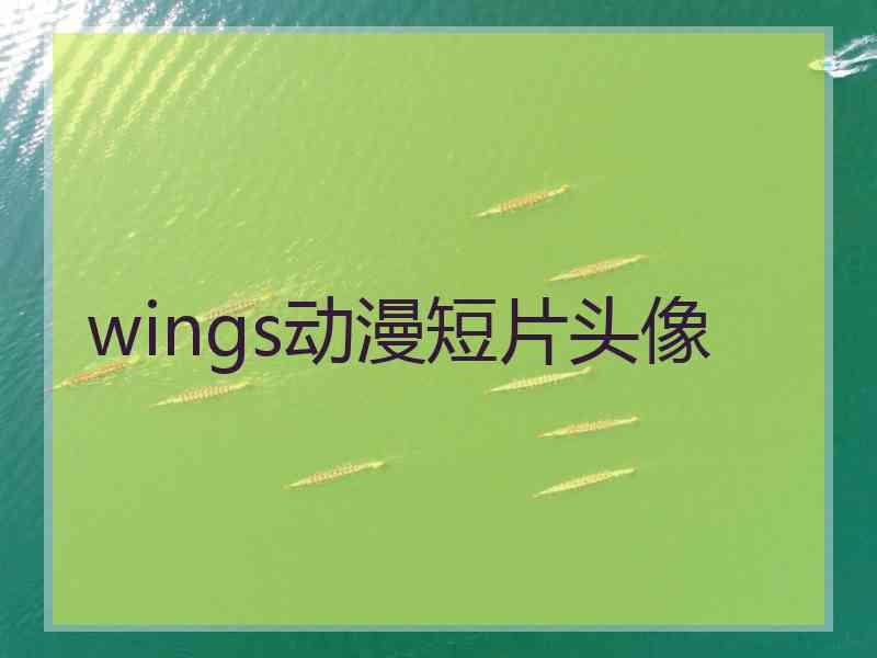 wings动漫短片头像