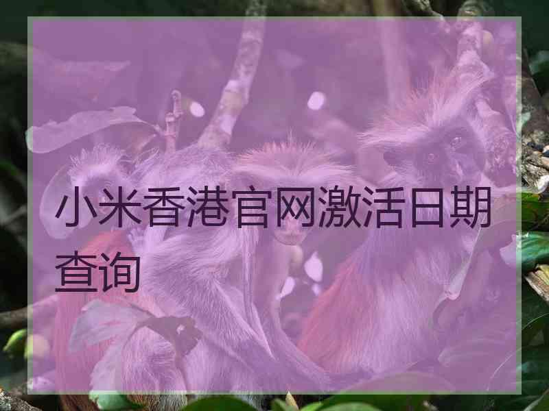 小米香港官网激活日期查询