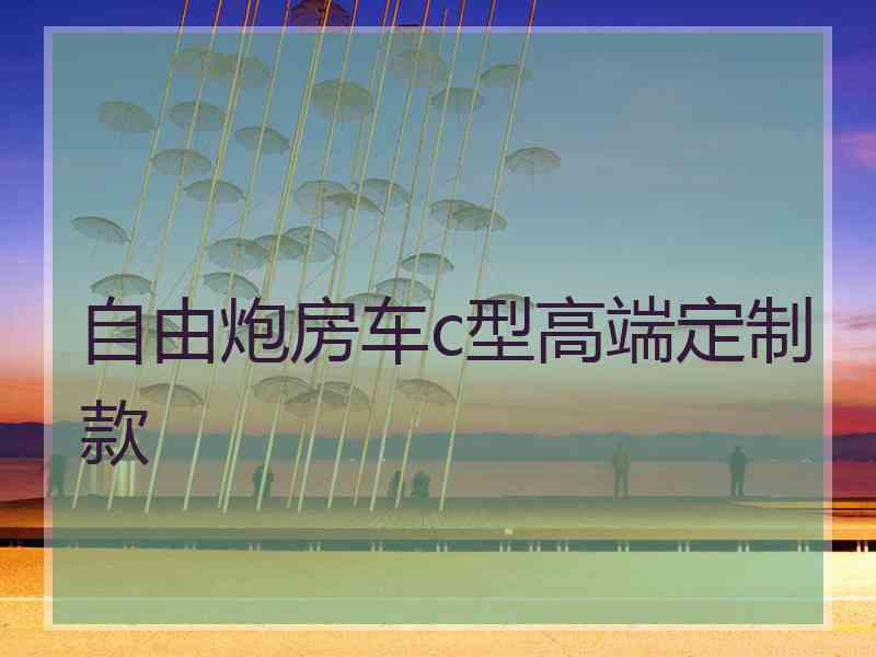 自由炮房车c型高端定制款