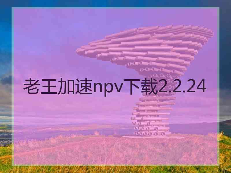 老王加速npv下载2.2.24