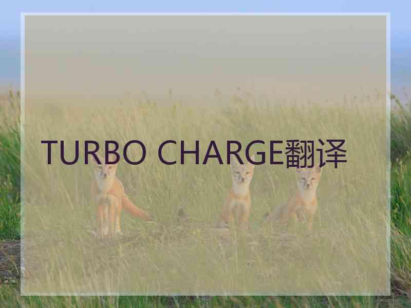 TURBO CHARGE翻译