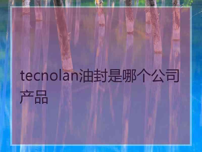 tecnolan油封是哪个公司产品