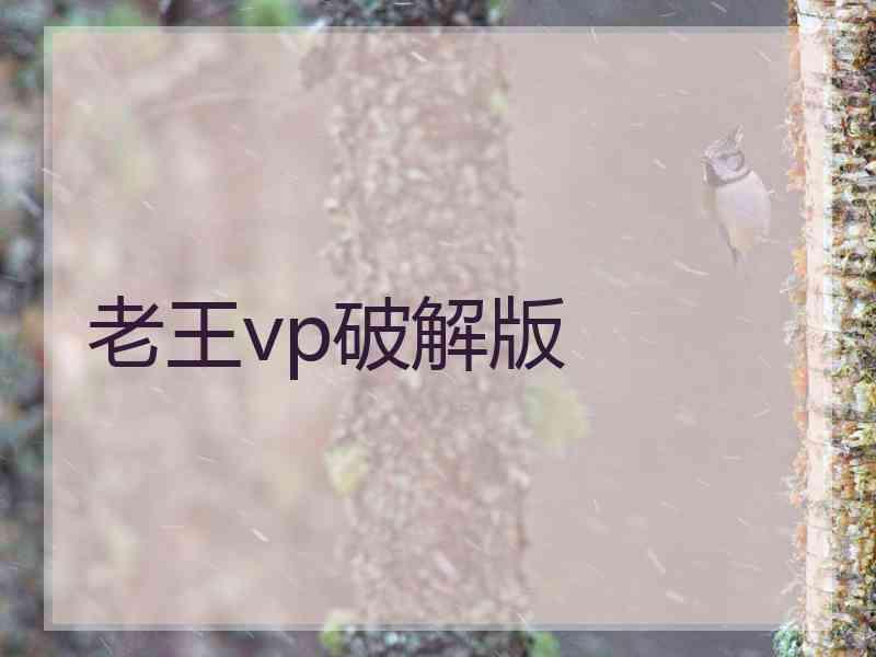 老王vp破解版