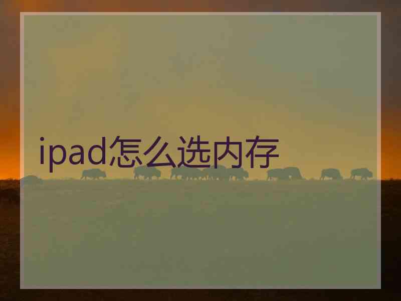 ipad怎么选内存