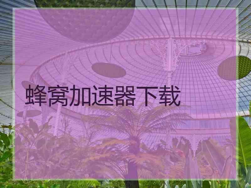 蜂窝加速器下载