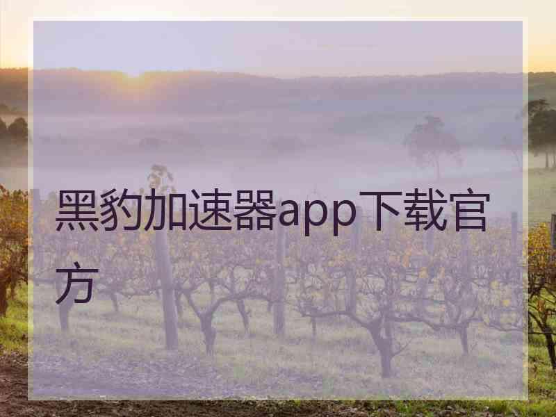 黑豹加速器app下载官方