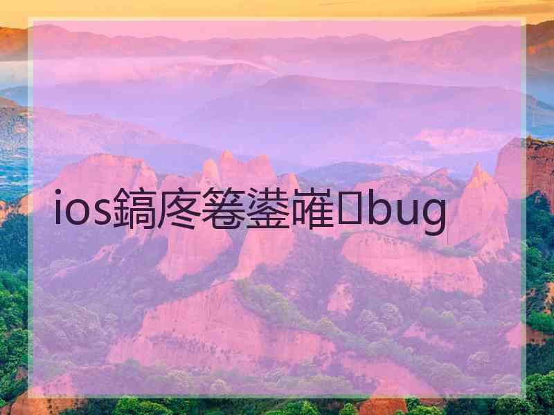 ios鎬庝箞鍙嶉bug