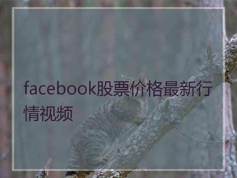 facebook股票价格最新行情视频