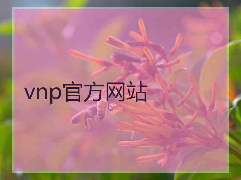 vnp官方网站