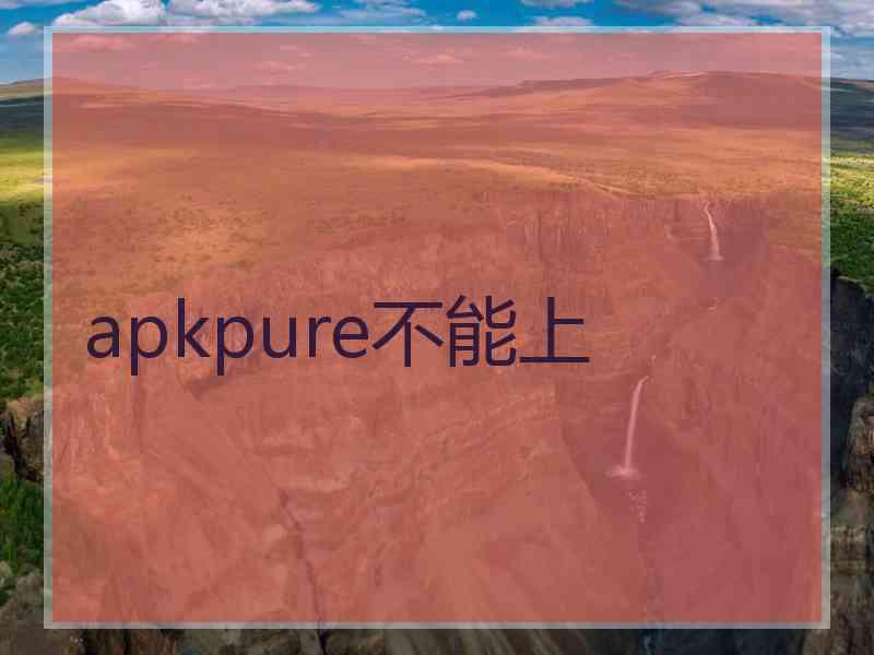 apkpure不能上