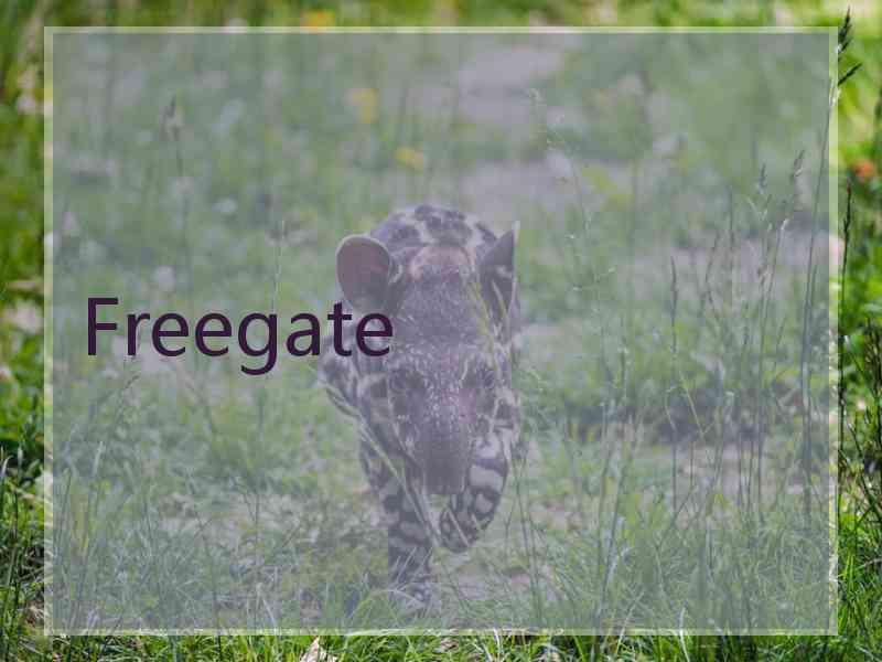 Freegate