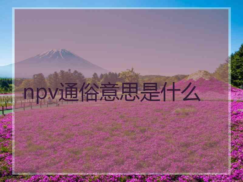 npv通俗意思是什么