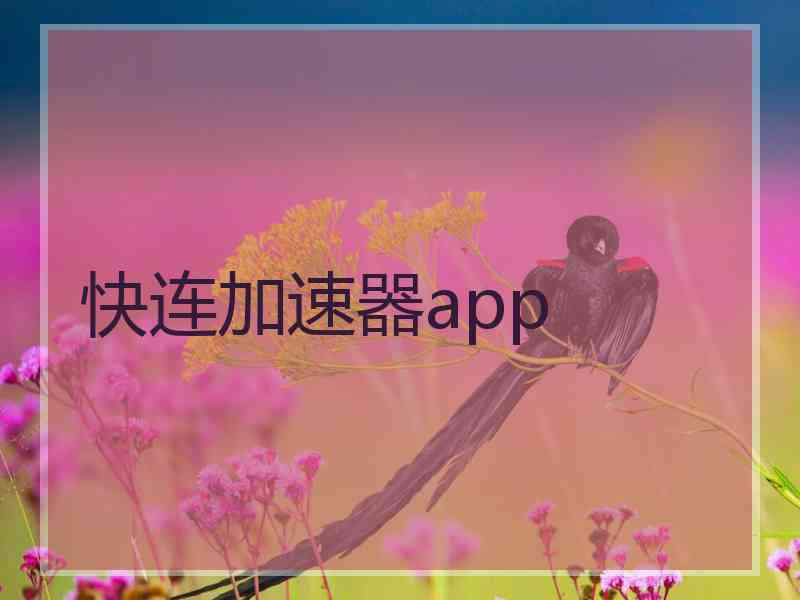 快连加速器app