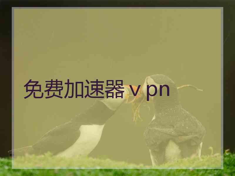 免费加速器ⅴpn