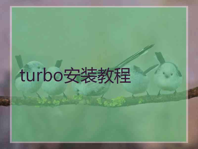 turbo安装教程