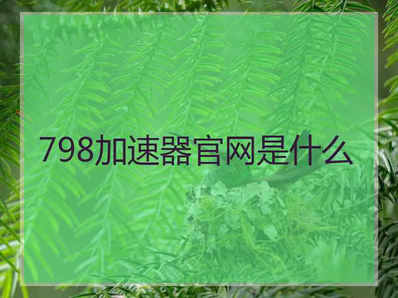 798加速器官网是什么