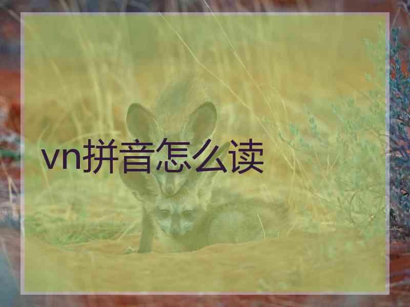 vn拼音怎么读