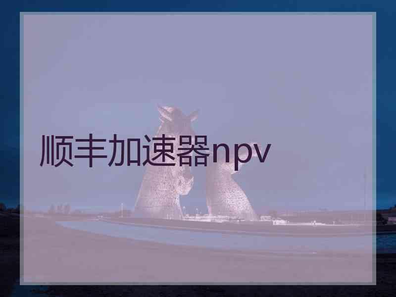 顺丰加速器npv