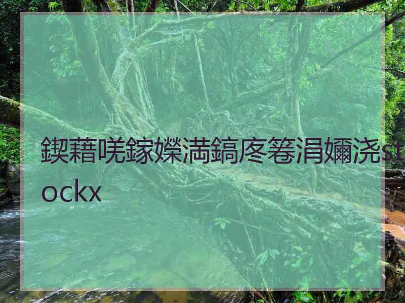 鍥藉唴鎵嬫満鎬庝箞涓嬭浇stockx