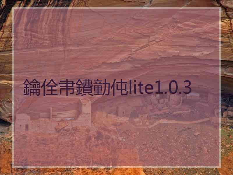 鑰佺帇鐨勭伅lite1.0.3