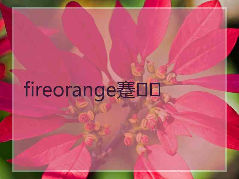 fireorange蹇